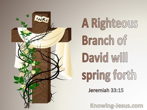 Jeremiah 33:15